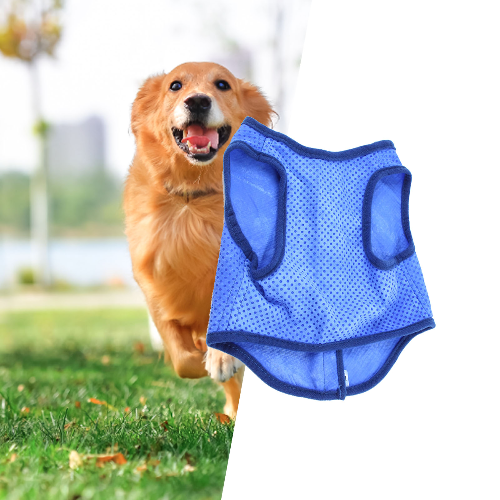 Glace rafraîchissante pour chi - Outdoor Sport Coat avis et prix