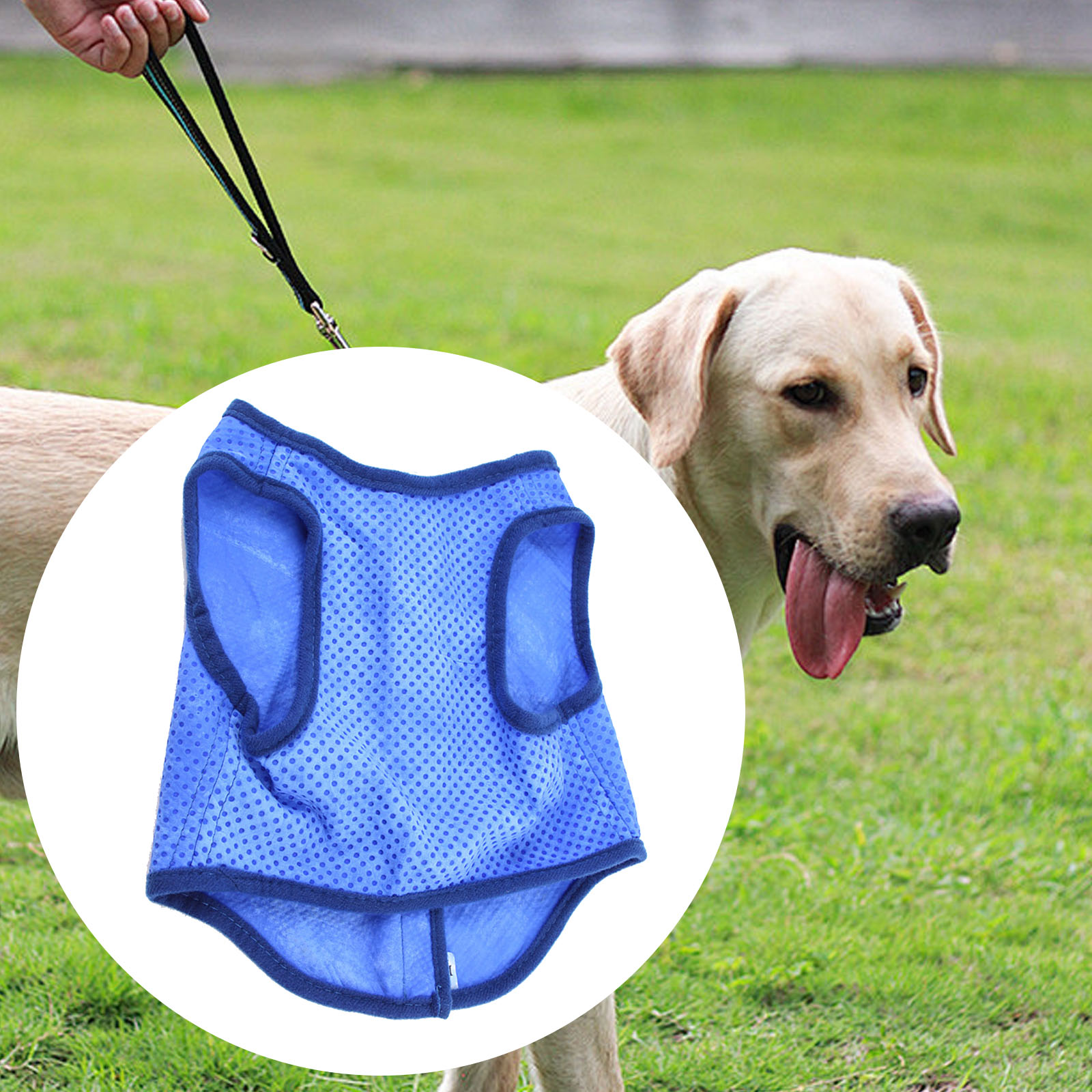 Glace rafraîchissante pour chi - Outdoor Sport Coat avis et prix